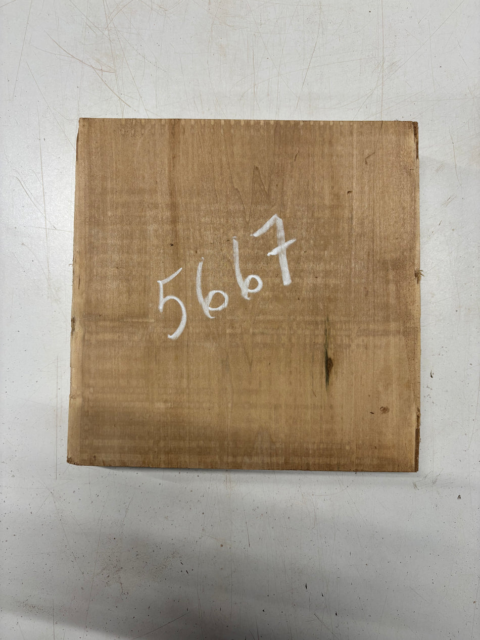 1 Piece, Basswood Bowl Blank 10"x10"x2"#5667
