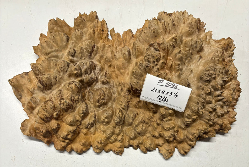 Red Mallee Burl Cookies - 21" x 11" x 3-1/4" #3093