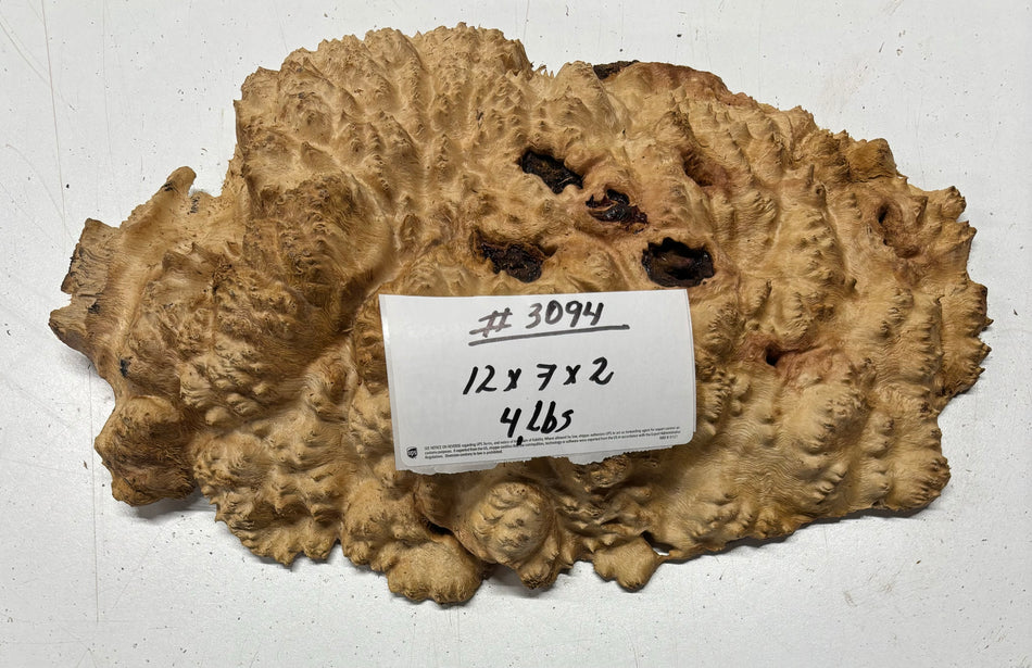 Red Mallee Burl Cookies - 12" x 7" x 2" #3094