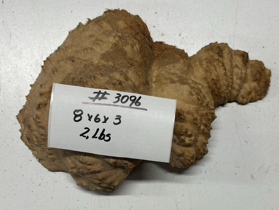 Red Mallee Burl Cookies - 8" x 6" x 3" #3096