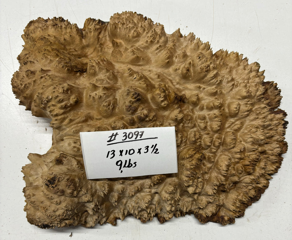 Red Mallee Burl Cookies - 13" x 10" x 3-1/2" #3097