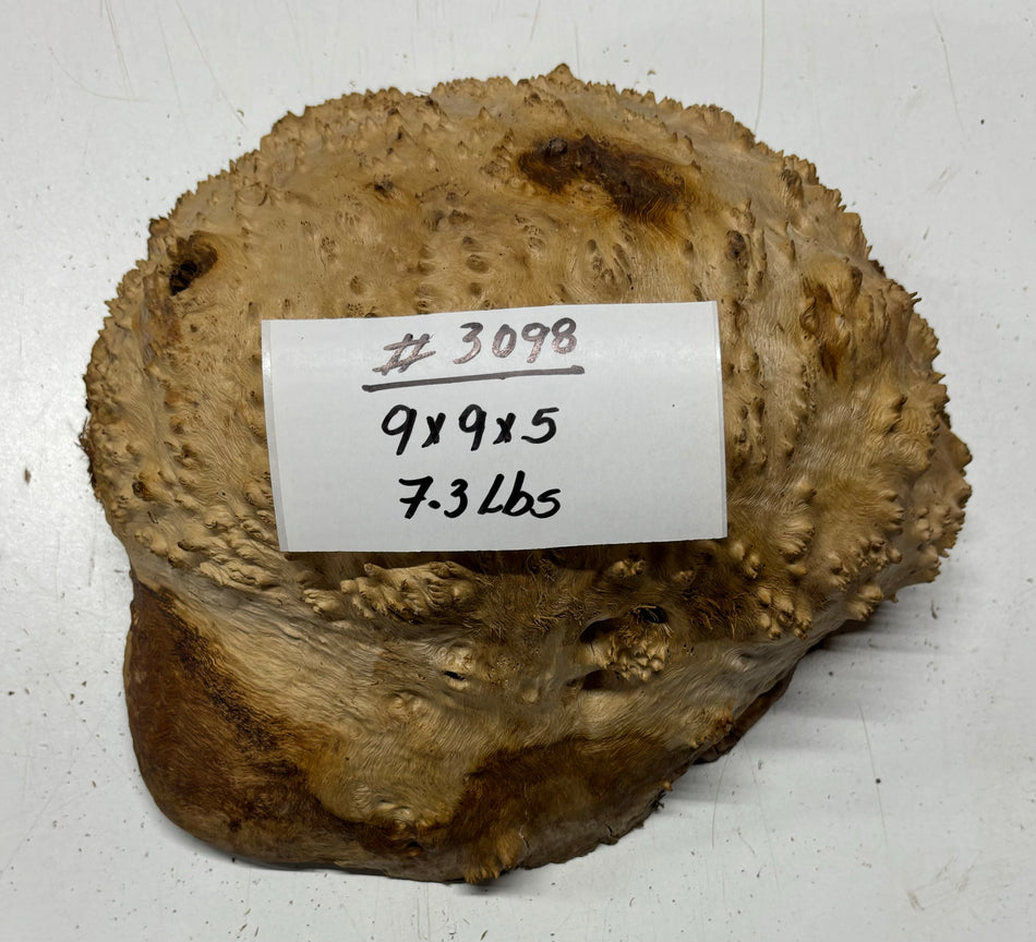 Red Mallee Burl Cookies - 9" x 9" x 5" #3098
