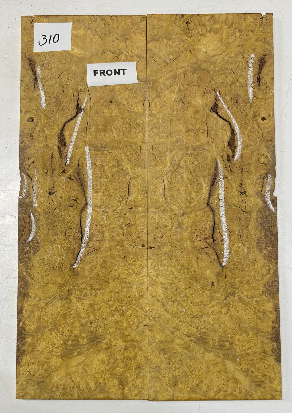 Osage Orange Burl Guitar Drop Top 21" x 7" x 3/8" #310
