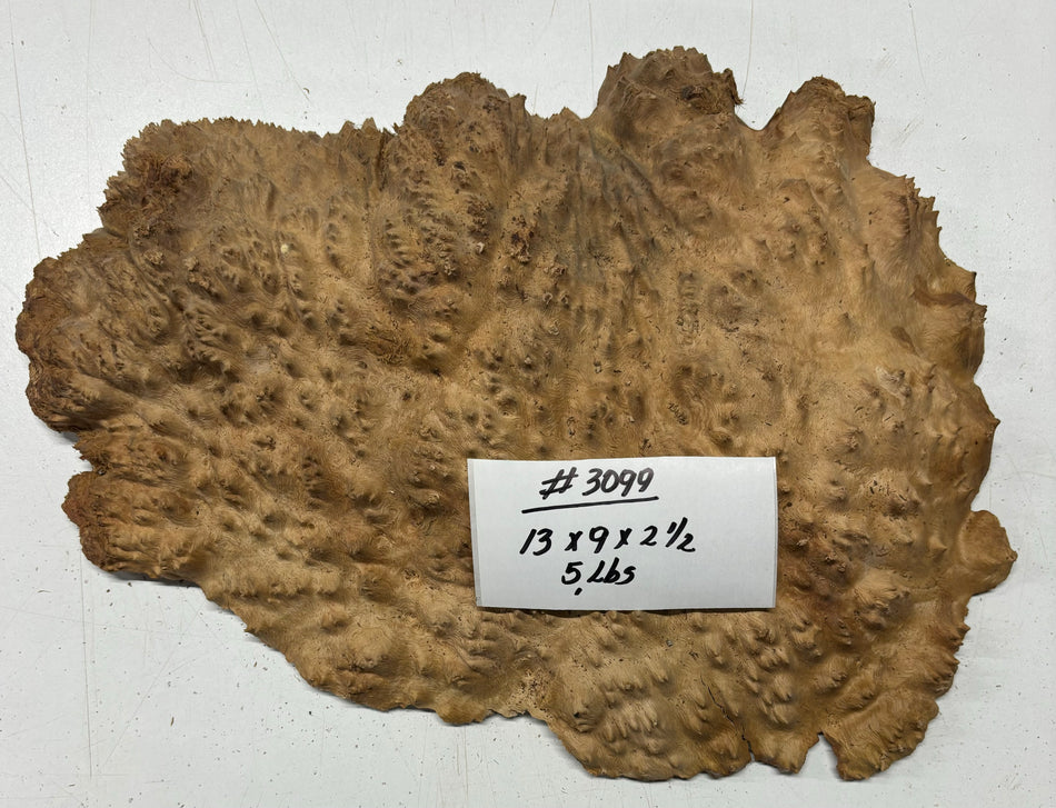 Red Mallee Burl Cookies - 13" x 9" x 2-1/2" #3099