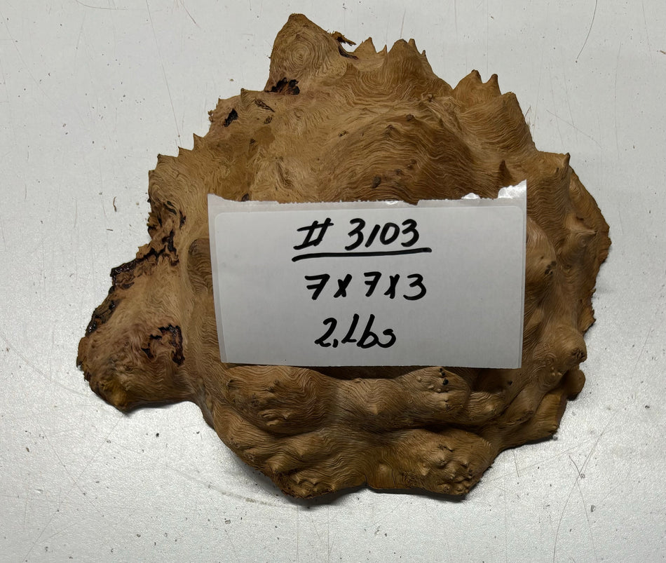Red Mallee Burl Cookies - 7" x 7" x 3" #3103