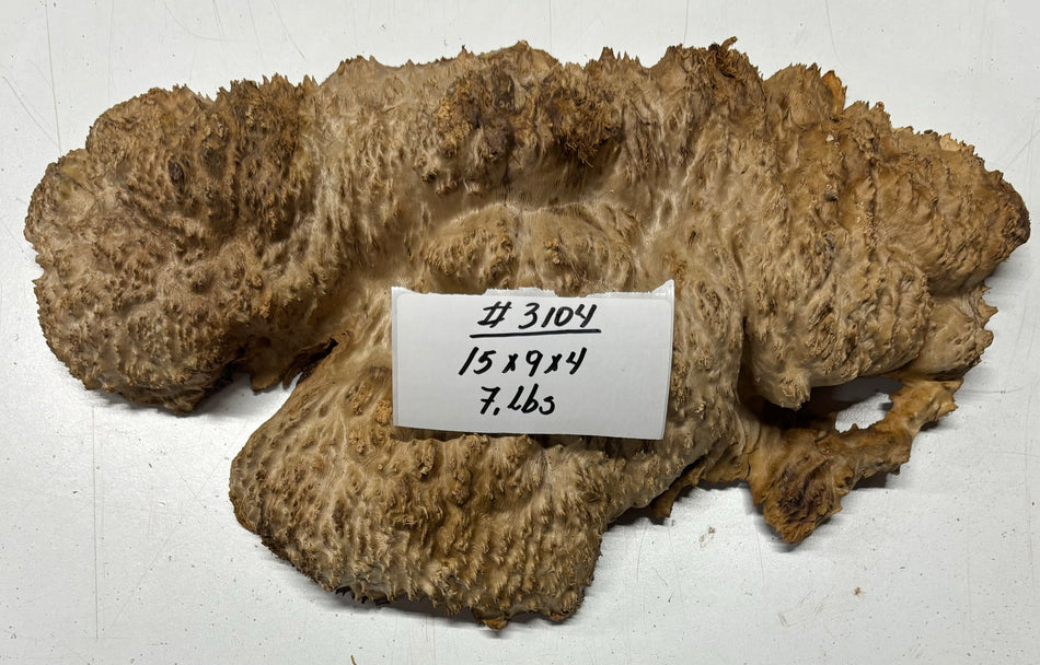 Red Mallee Burl Cookies - 15" x 9" x 4" #3104