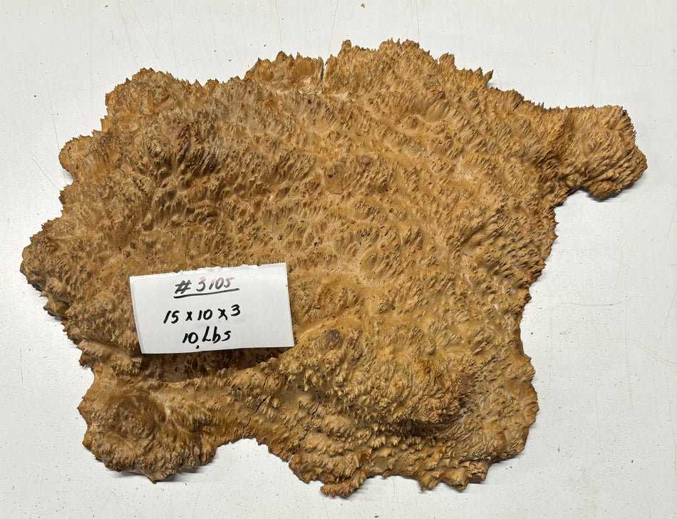 Red Mallee Burl Cookies - 15" x 10" x 3" #3105