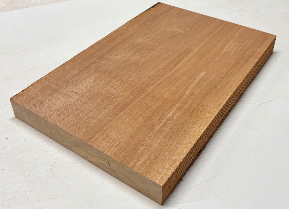 Blancs de corps de guitare en acajou/khaya africain, 21″ x 14-1/2″ x 1-7/8″, 8 livres #04