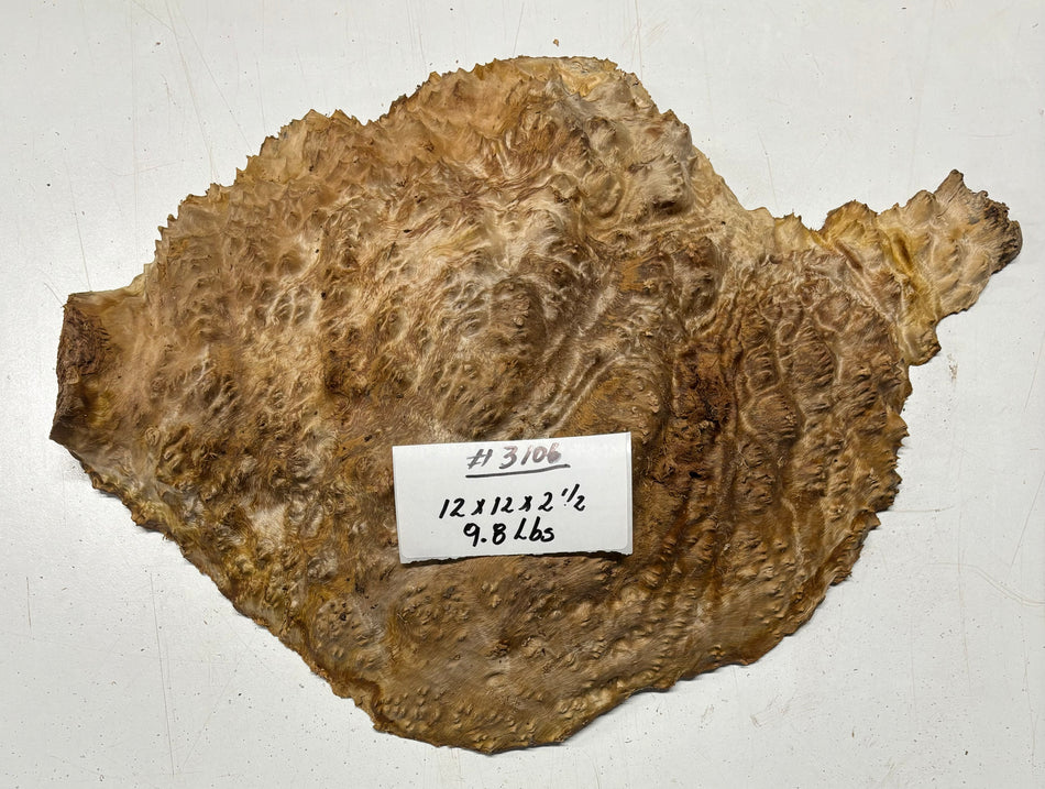 Red Mallee Burl Cookies - 12" x 12" x 2-1/2" #3106