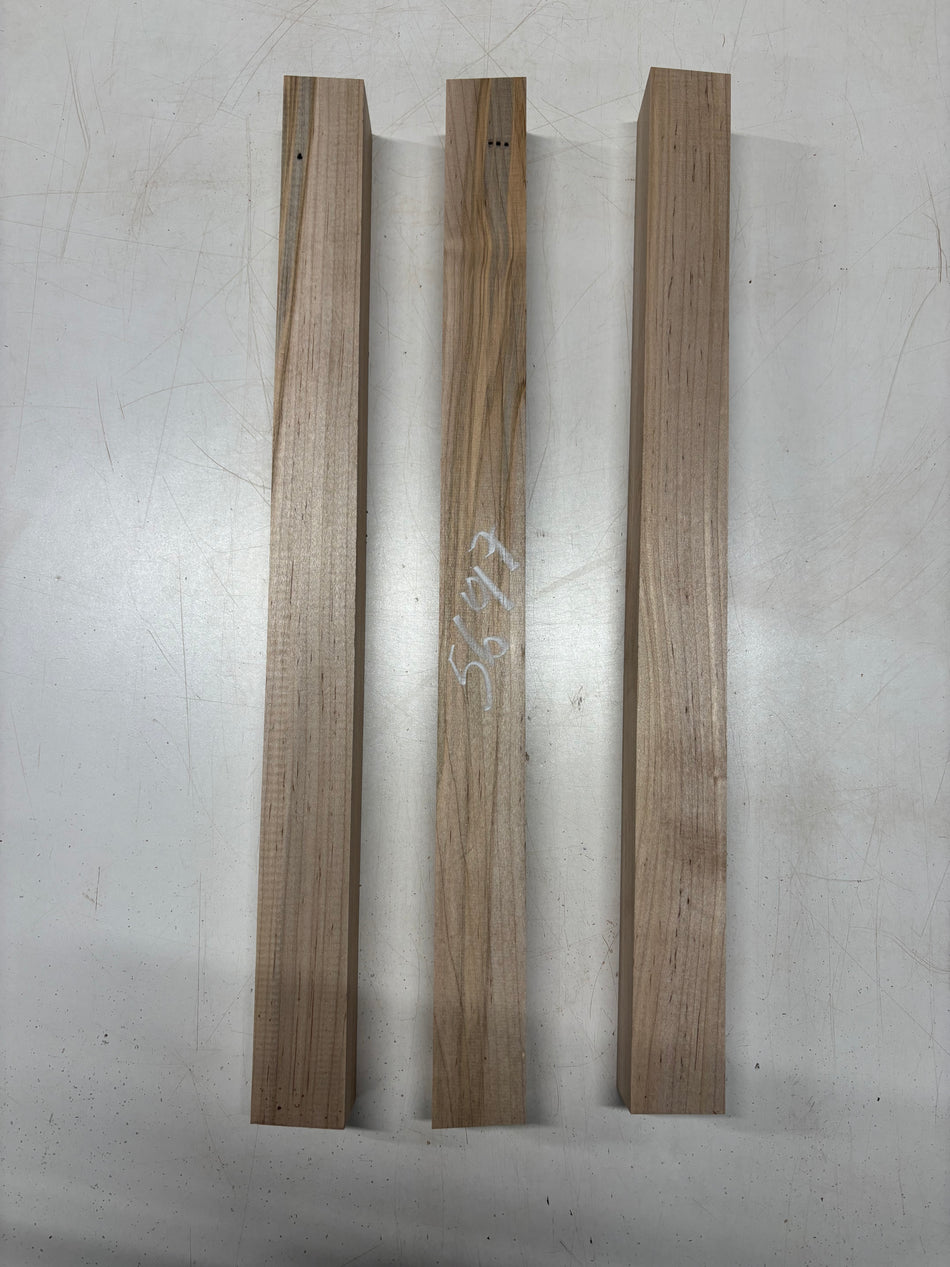 3 Pack, Ambrosia Maple Turning Wood Blank 24"x2"x2"#5697