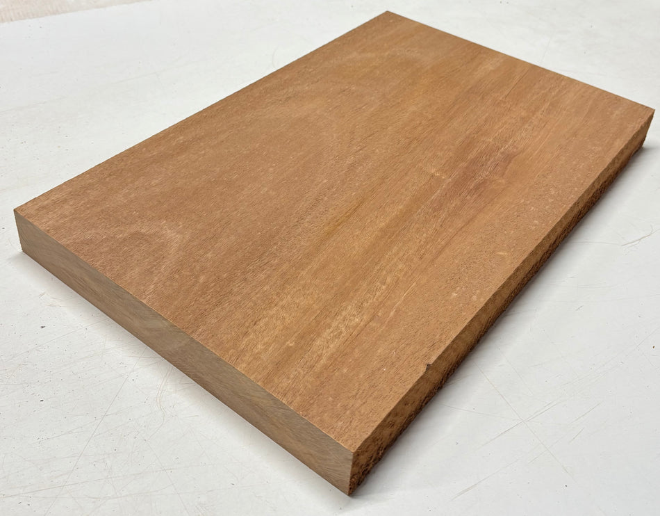 Flans de corps de guitare en acajou africain/khaya, 21″ x 14-1/2″ x 1-7/8″, 10 lbs #05