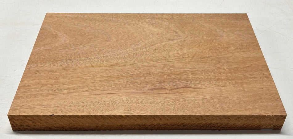 Flans de corps de guitare en acajou africain/khaya, 21″ x 14-1/2″ x 1-7/8″, 10 lbs #05