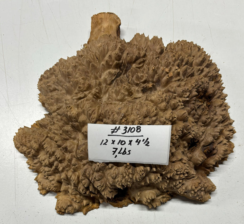 Red Mallee Burl Cookies - 12" x 10" x 4-1/2" #3108