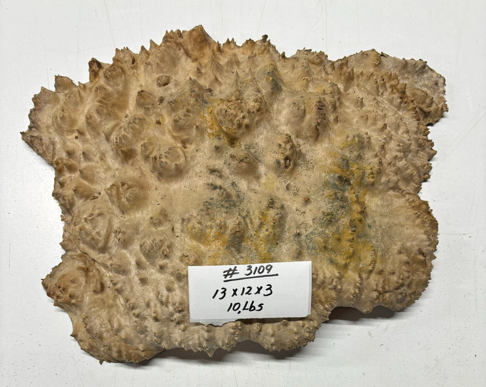 Red Mallee Burl Cookies - 13" x 12" x 3" #3109