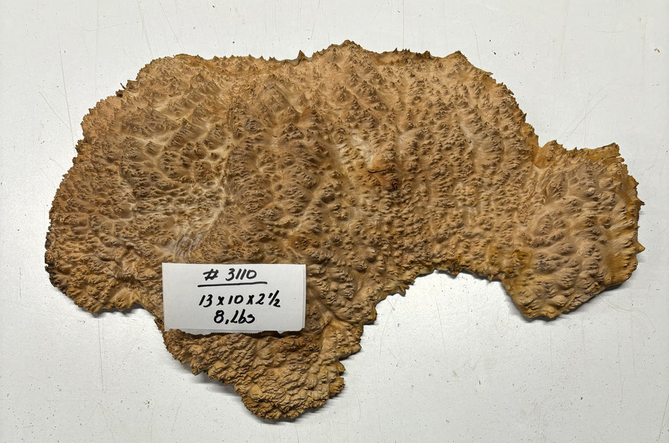 Red Mallee Burl Cookies - 13" x 12" x 2-1/2" #3110