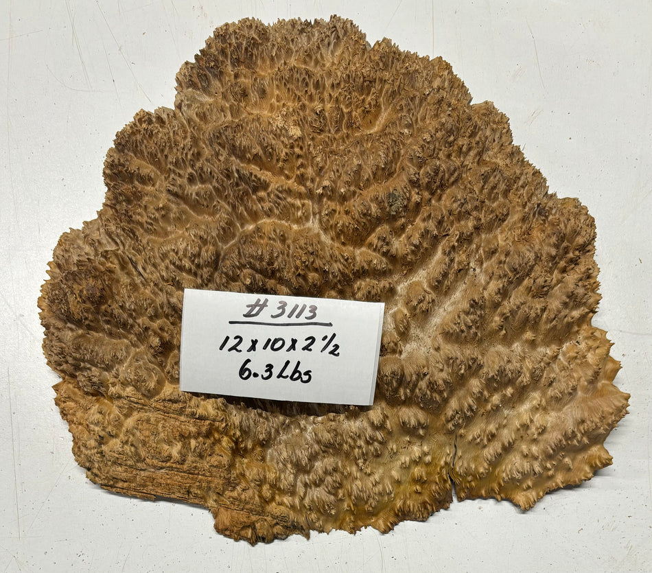 Red Mallee Burl Cookies - 12" x 10" x 2-1/2"#3113