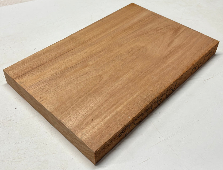 Blocs de corps de guitare en acajou/khaya africain, 21-3/8″ x 14-1/2″ x 2″, 10 lb #08