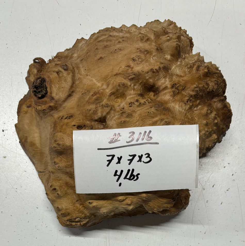 Red Mallee Burl Cookies - 7" x 7" x 3"#3116