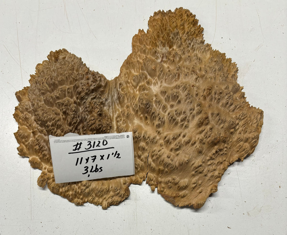 Red Mallee Burl Cookies - 8" x 7" x 1-1/4"#3120