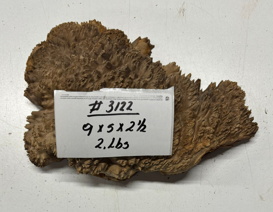 Red Mallee Burl Cookies - 9" x 5" x 2-1/2"#3122