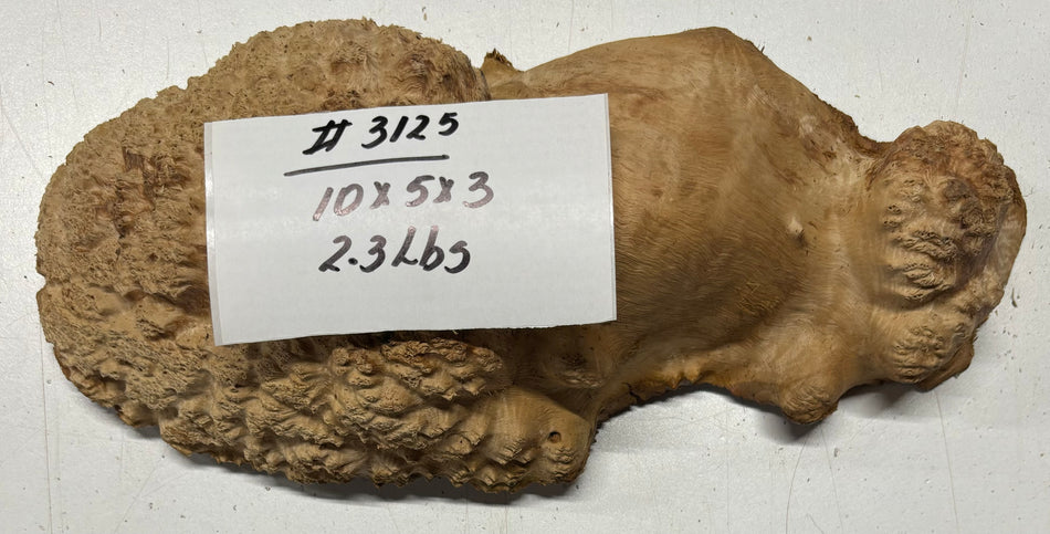 Red Mallee Burl Cookies - 10" x 5" x 3"#3125
