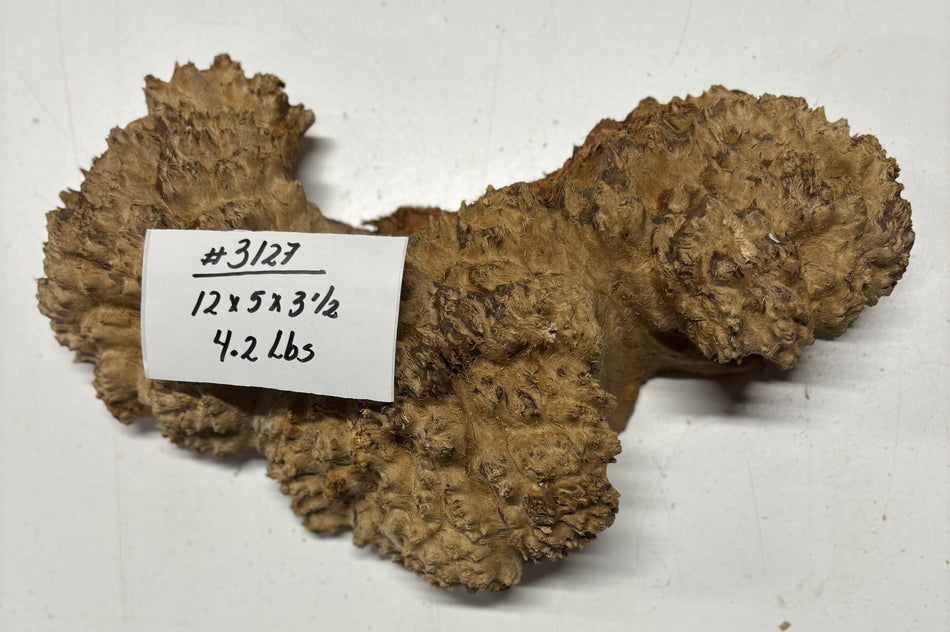 Red Mallee Burl Cookies - 12" x 5" x 3-1/2"#3127