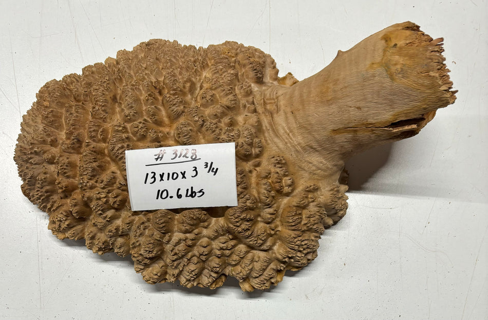 Red Mallee Burl Cookies - 13" x 10" x 3-3/4"#3128