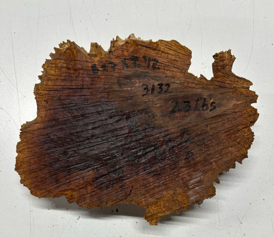 Red Mallee Burl Cookies - 8" x 7" x 2-1/2"#3132