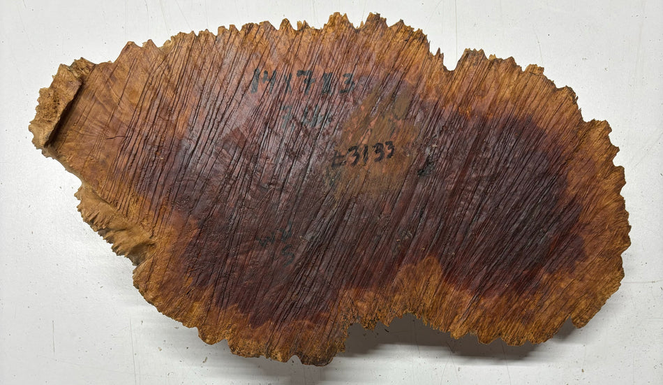 Red Mallee Burl Cookies - 14" x 7" x 3"#3133