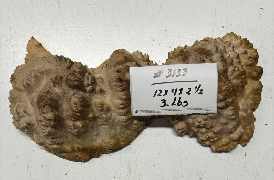 Red Mallee Burl Cookies - 12" x 4" x 2-1/2"#3137