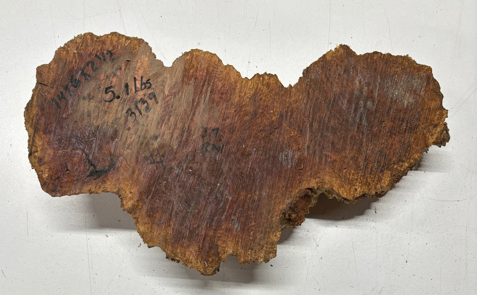Red Mallee Burl Cookies - 14" x 6" x 2-1/2"#3139