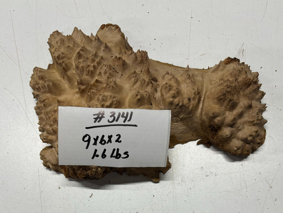 Red Mallee Burl Cookies - 9" x 6" x 2"#3141