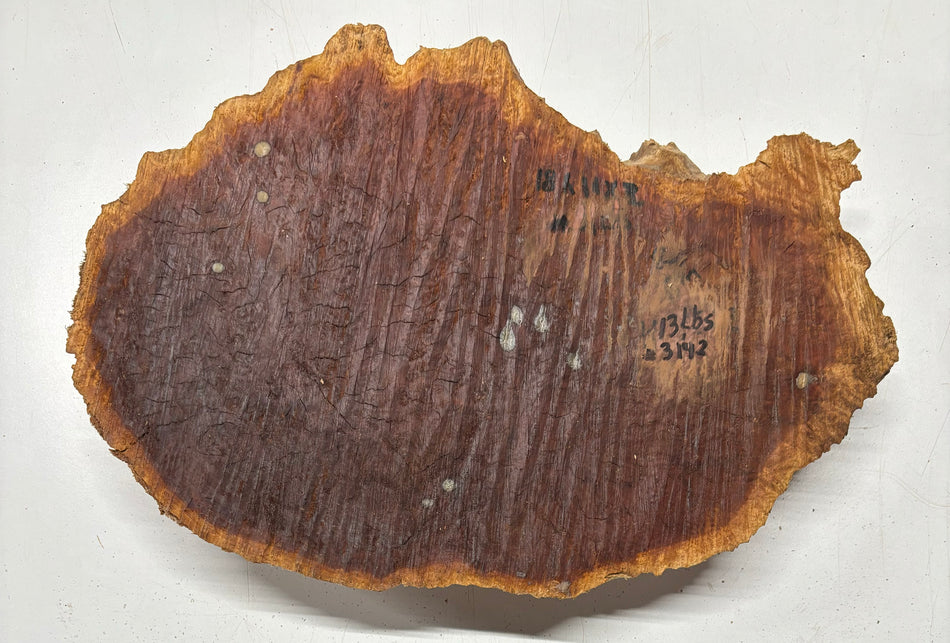 Red Mallee Burl Cookies - 18" x 11" x 3"#3142