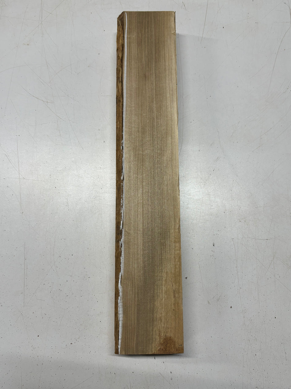 1 Piece, Poplar Lumber Board Blank 21"x3-7/8"x2-1/4"#7842 - Exotic Wood Zone