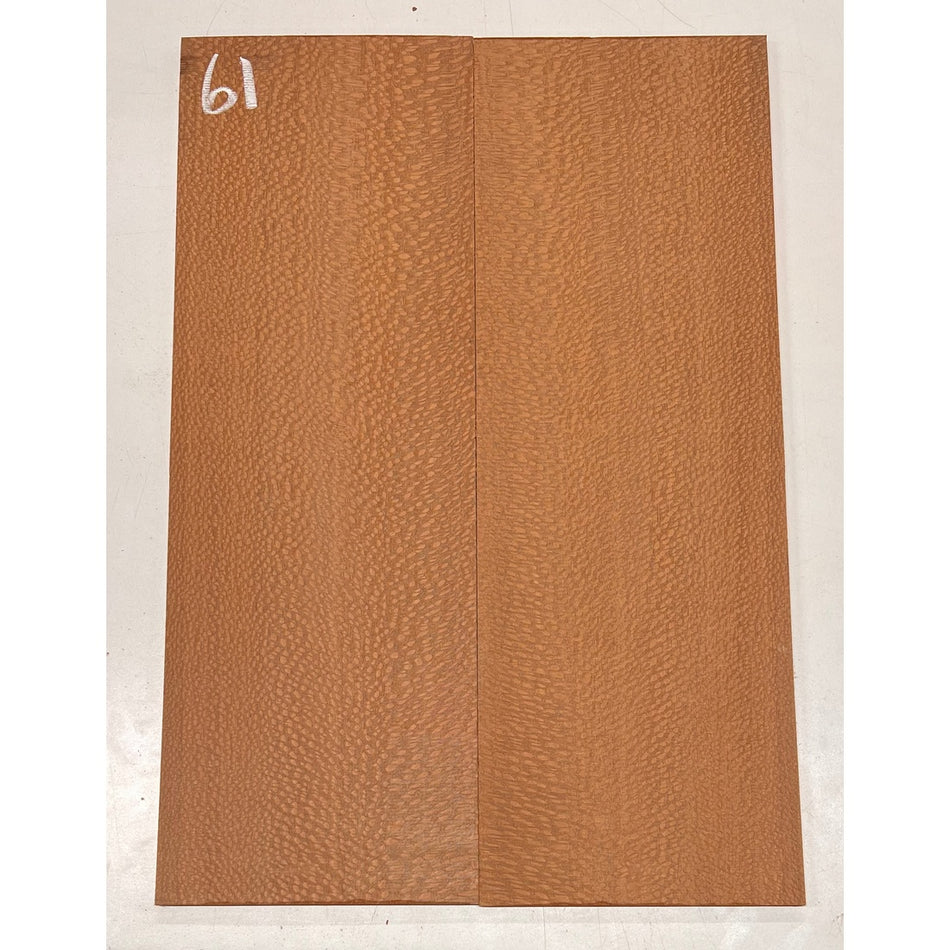 Leopardwood Bookmatched Guitar Drop Tops 21" x 7-1/4" x 1/4" #61 - Exotic Wood Zone - Buy online Across USA 