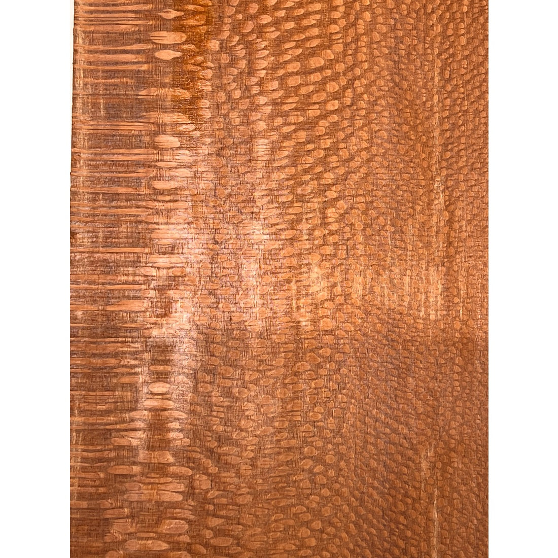 Leopardwood Bookmatched Guitar Drop Tops 21" x 7-1/4" x 1/4" #64 - Exotic Wood Zone - Buy online Across USA 