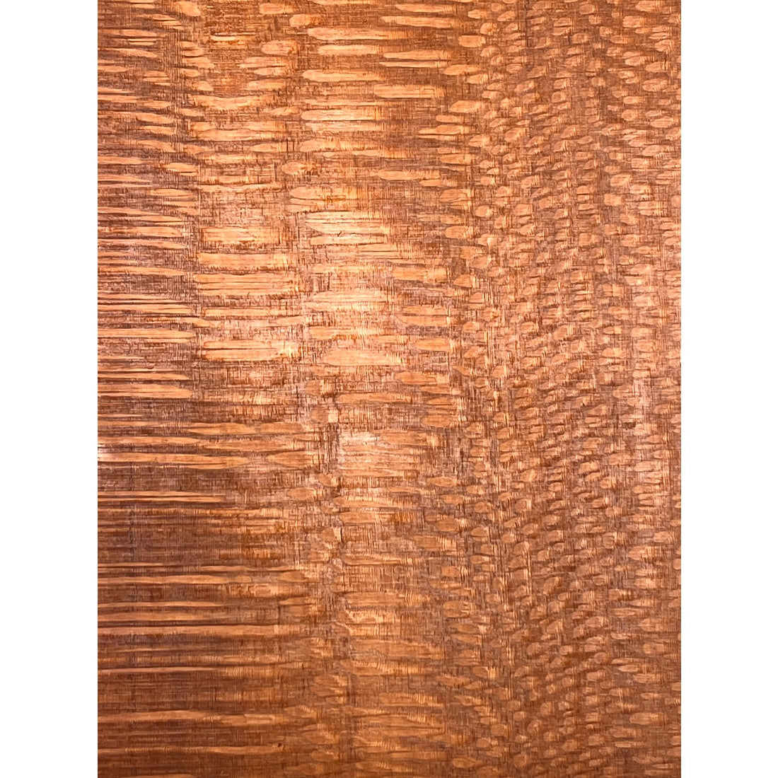 Leopardwood Bookmatched Guitar Drop Tops 21" x 7-1/4" x 1/4" #68 - Exotic Wood Zone - Buy online Across USA 