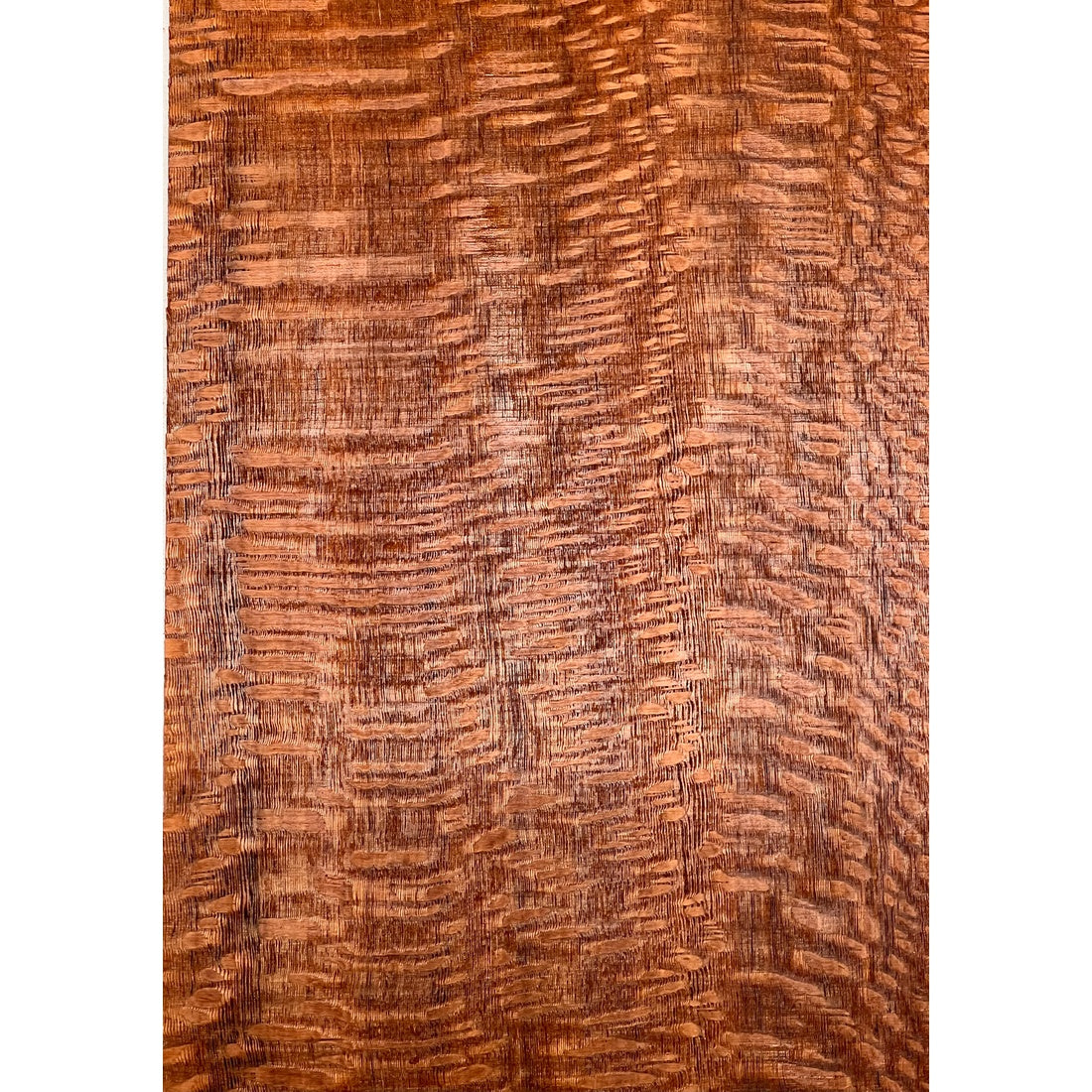 Leopardwood Bookmatched Guitar Drop Tops 21" x 7-1/4" x 1/4" #70 - Exotic Wood Zone - Buy online Across USA 