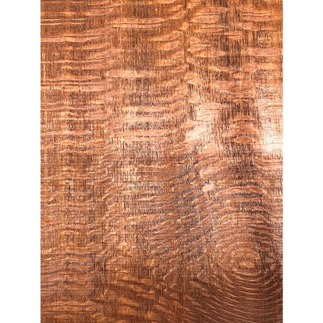 Leopardwood Bookmatched Guitar Drop Tops 21" x 7-1/4" x 1/4" #73 - Exotic Wood Zone - Buy online Across USA 