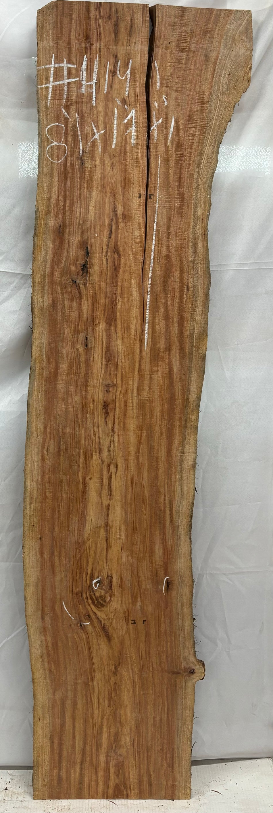 Hermosas y raras losas/galletas de borde vivo de madera negra africana - 24"x24-1/2"x3", #220