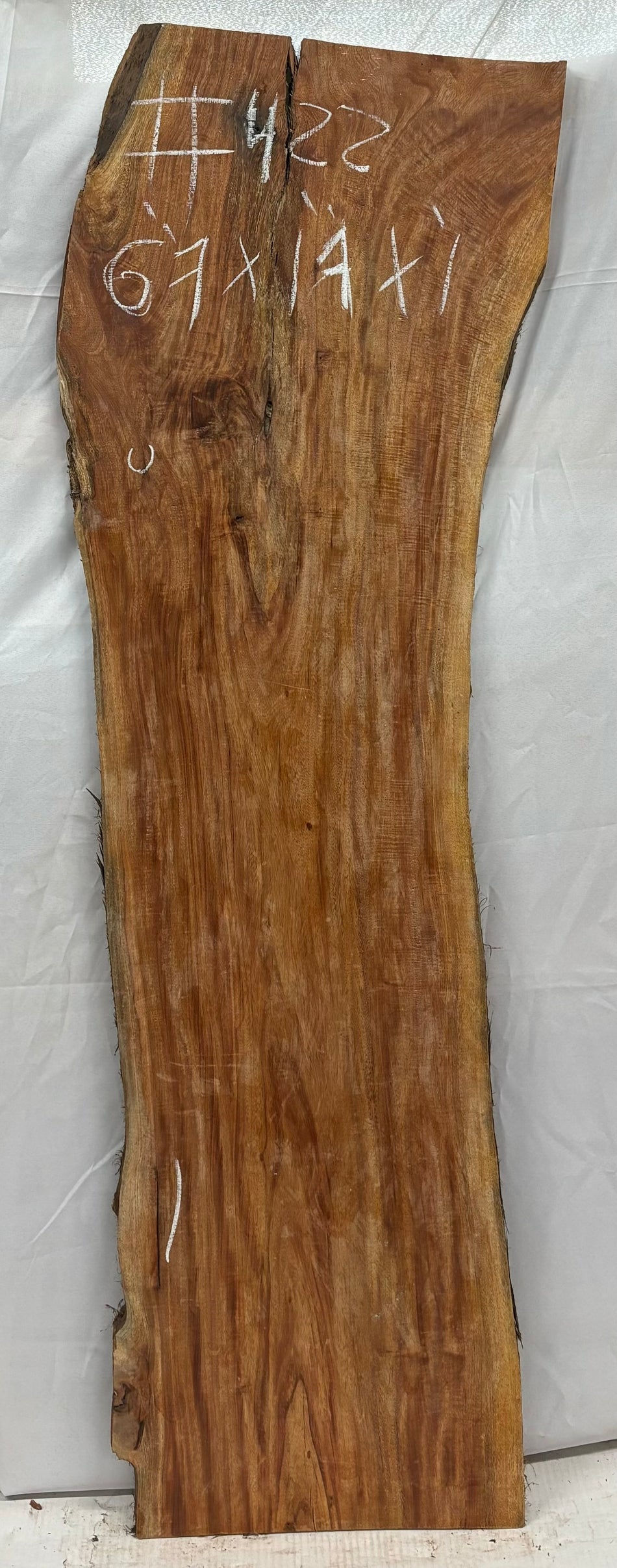 Hermosas y raras losas/galletas de borde vivo de madera negra africana - 24"x24-1/2"x3", #220