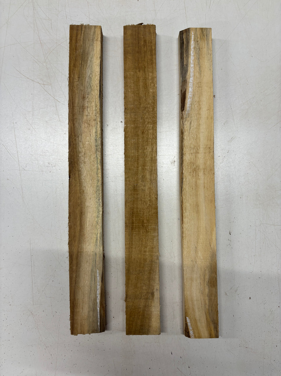 3 Pack, Bi Color Acacia Thin Stock Lumber 18"x2"x7/8"#5719