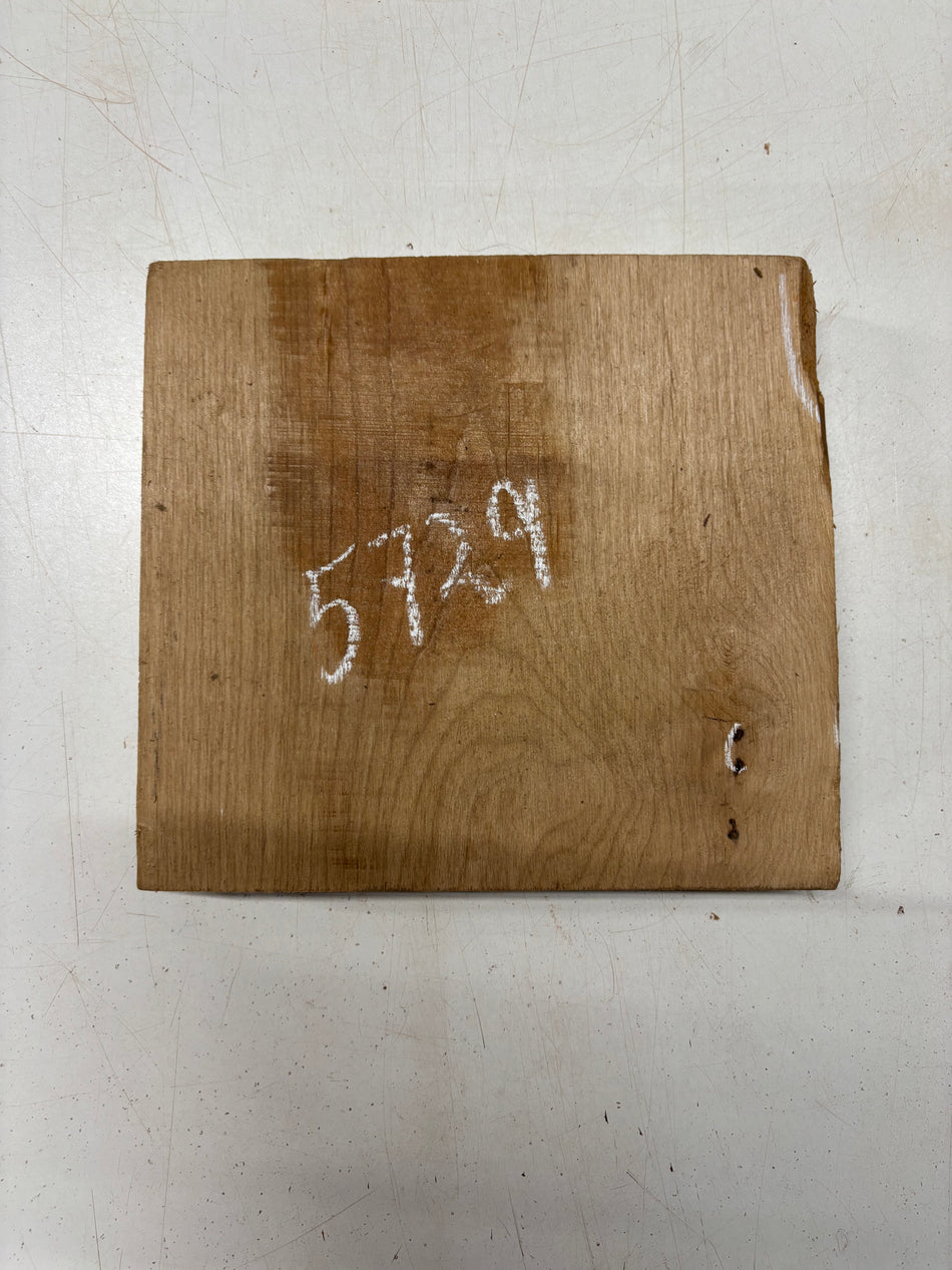 1 Piece, Red Alder Bowl Blank 9"x9-1/2"x1-7/8"#5729