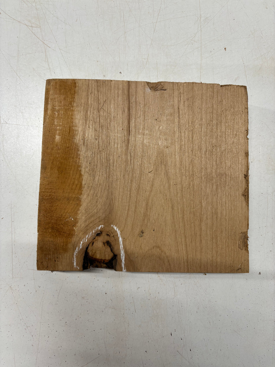 1 Piece, Red Alder Bowl Blank 9"x9-1/2"x1-7/8"#5729