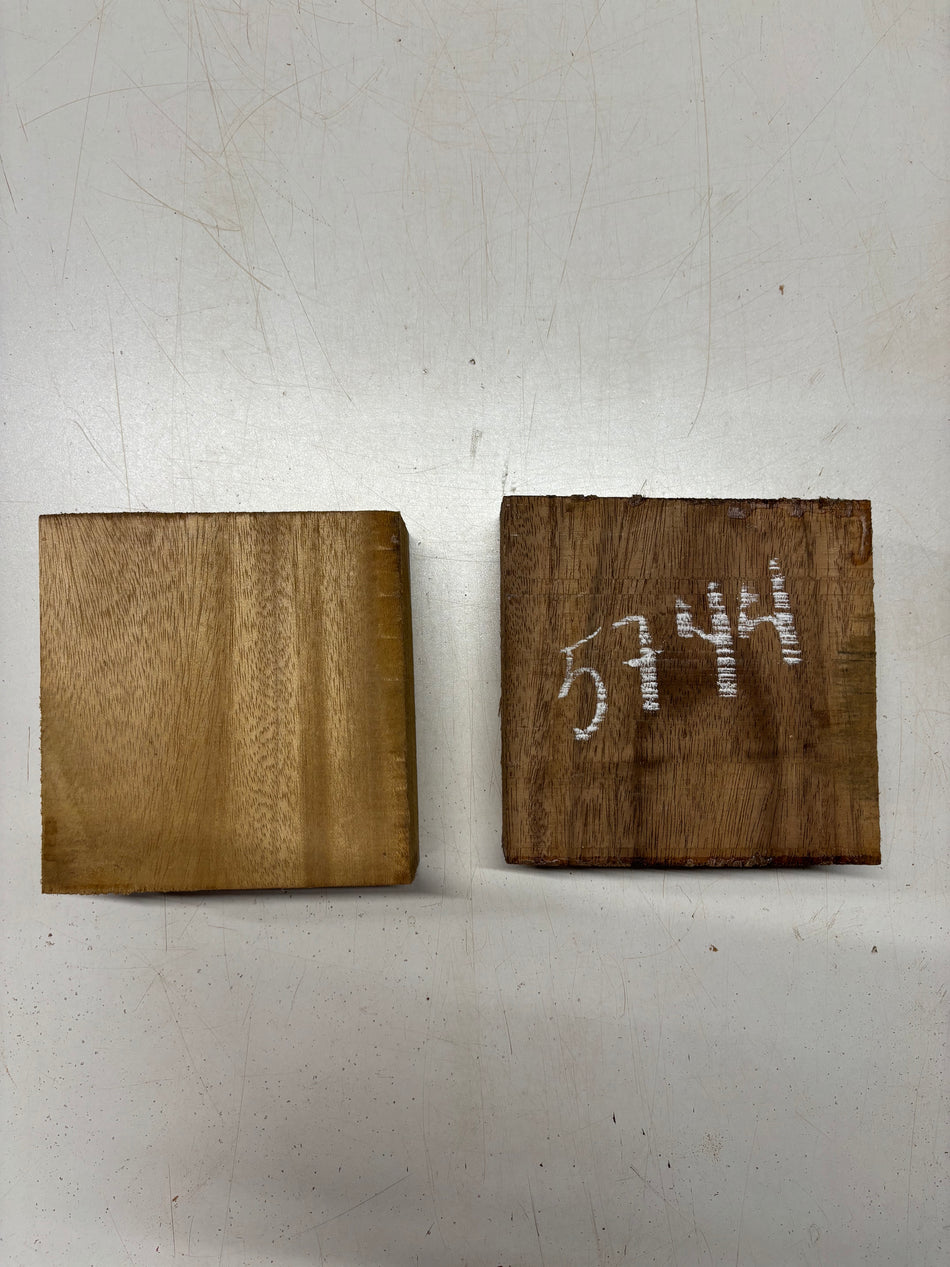 2 Pack, 2 Species Indian Walnut + Acacia Bowl Blanks  6"x6"x2"#5744