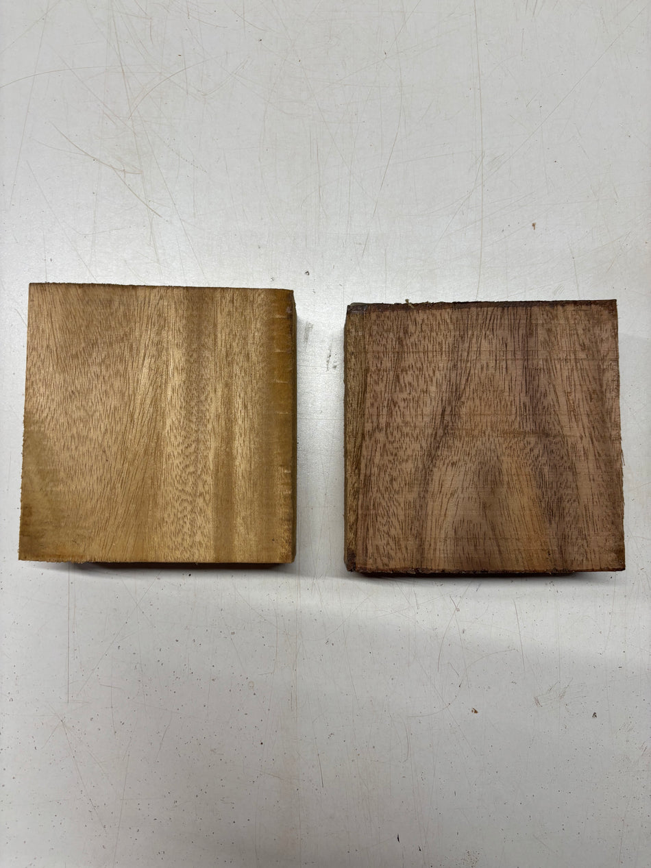 2 Pack, 2 Species Indian Walnut + Acacia Bowl Blanks  6"x6"x2"#5744