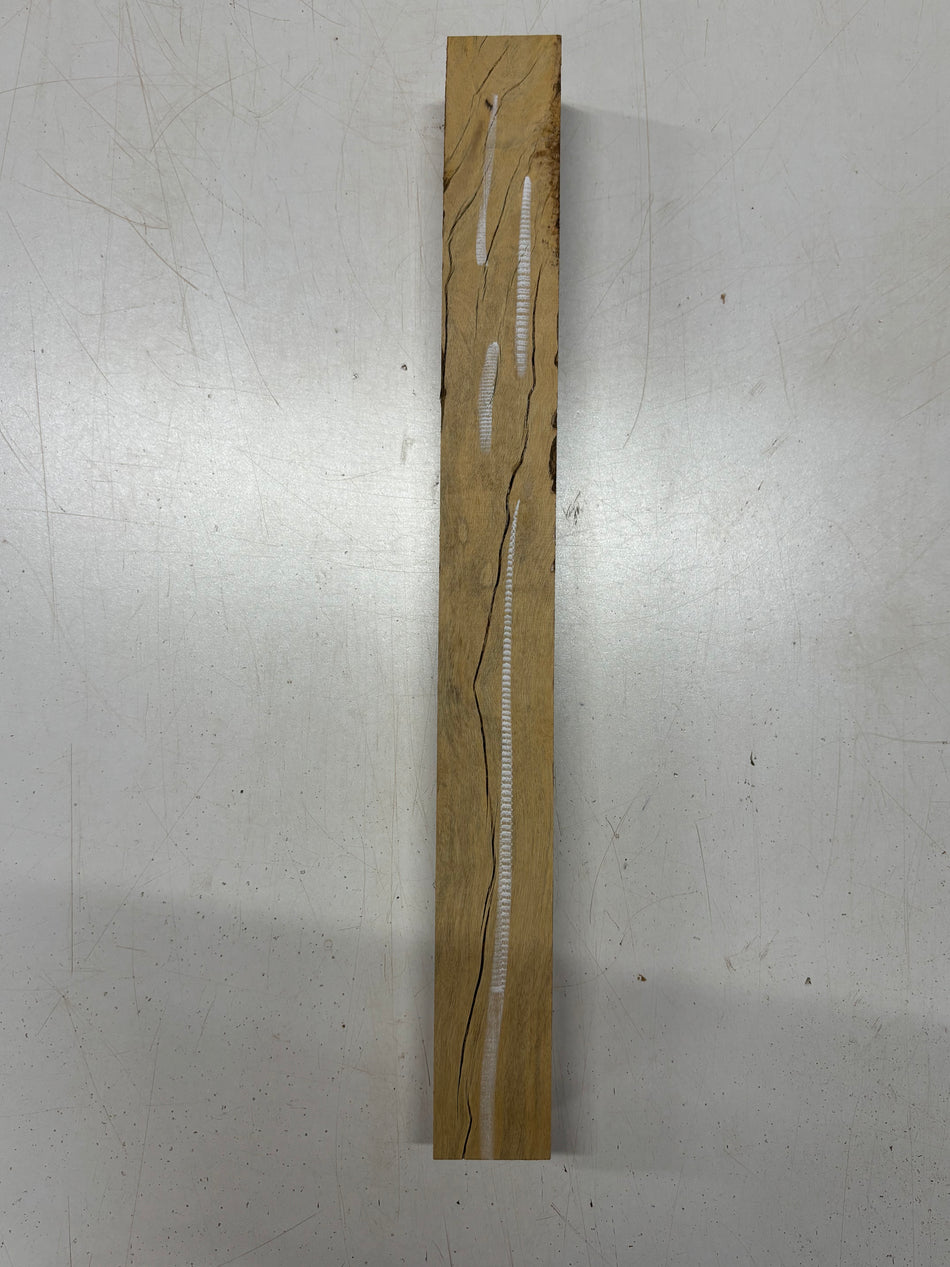 1 Piece, Black And White Ebony Turning Wood Blank  18"x1-3/4"x1-3/4"#5755