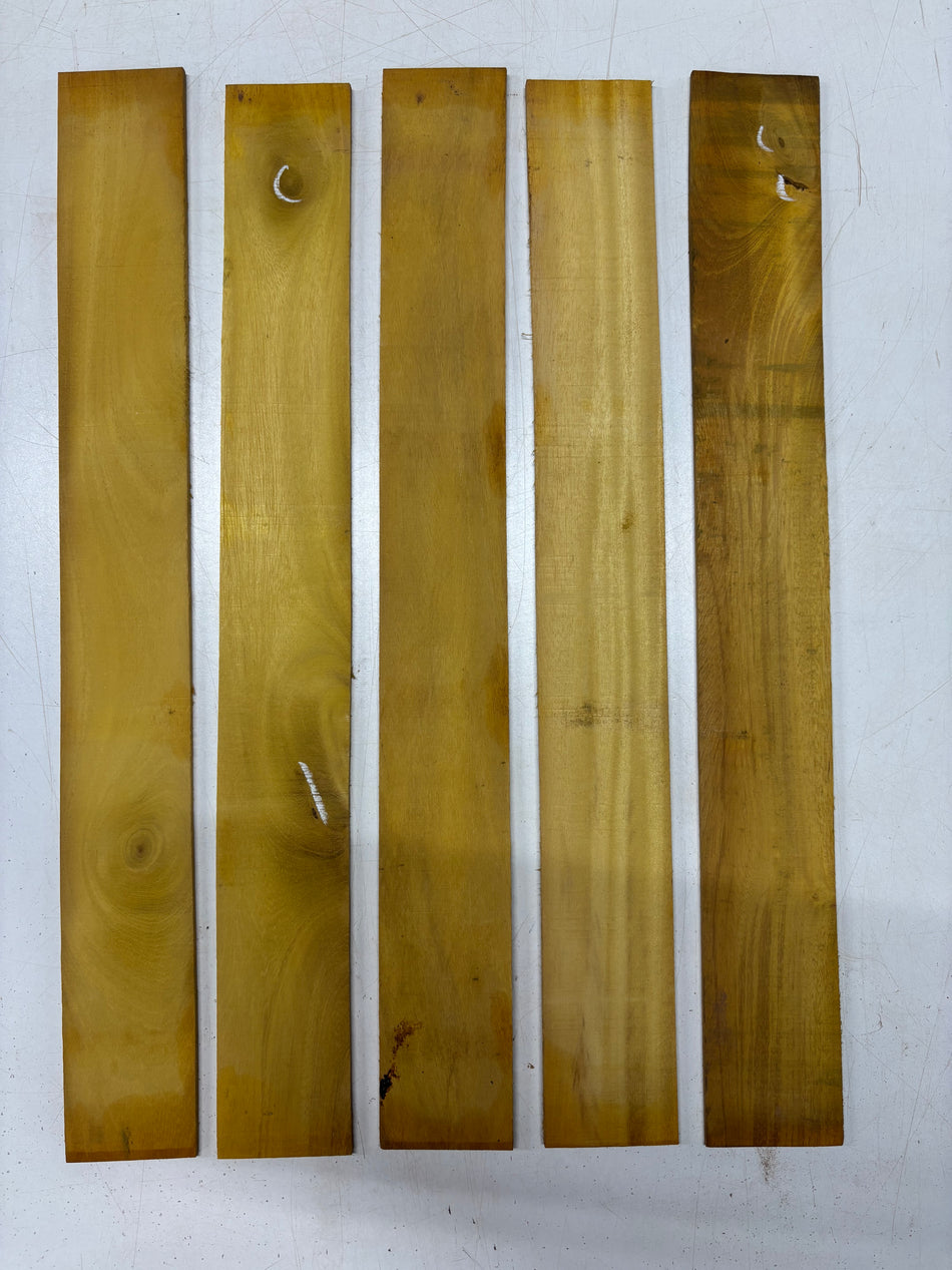 5 Pack, Osage Orange Thin Stock Lumber 24"x2-7/8"x1/8"#5763