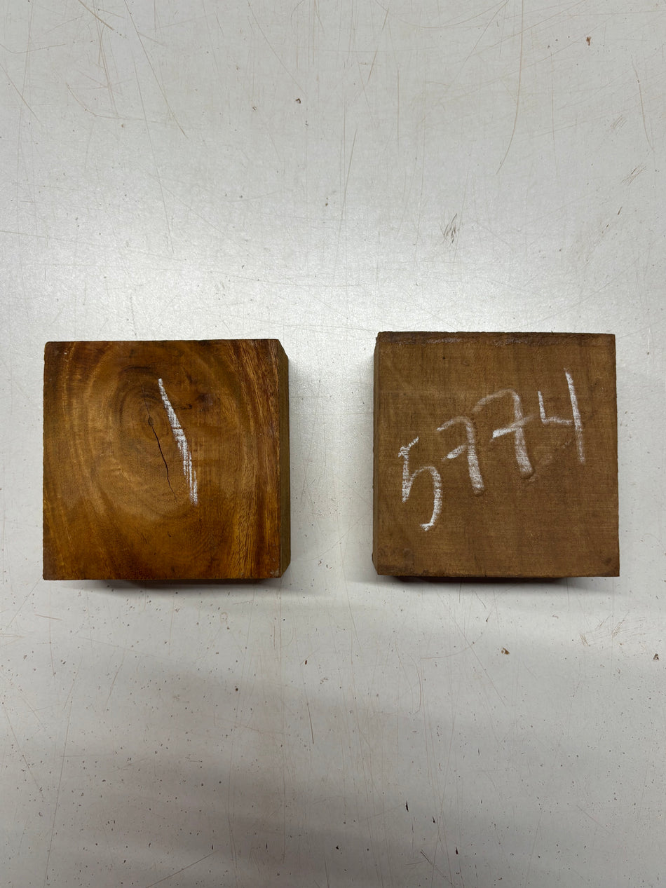 2 Pack, 2 Species Osage Orange + Teak Bowl Blanks 4"x4"x2" #5774