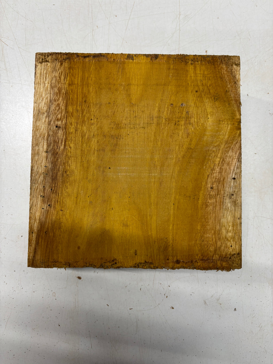 1 Piece, Osage Orange Bowl Blank 8"x8"x3"#5830